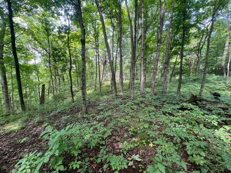 1900 Cruey Lane, Batavia, OH 45103 Photo 3