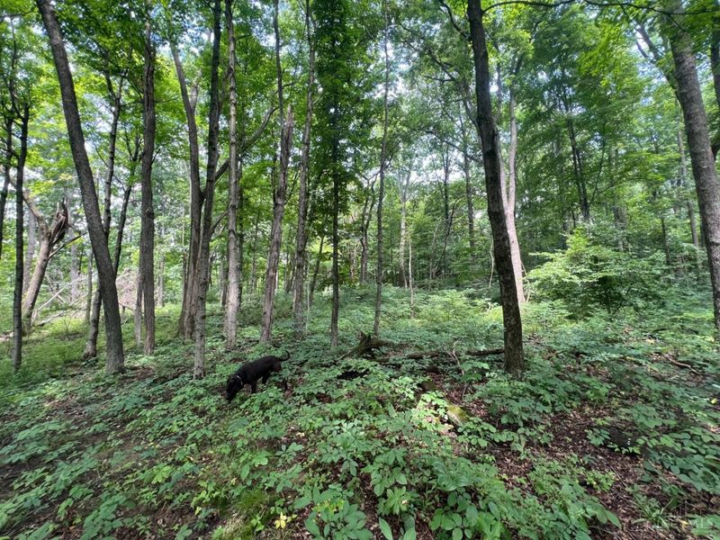 1900 Cruey Lane, Batavia, OH 45103 Photo 4