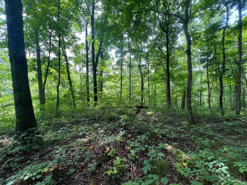 1900 Cruey Lane, Batavia, OH 45103 Photo 5