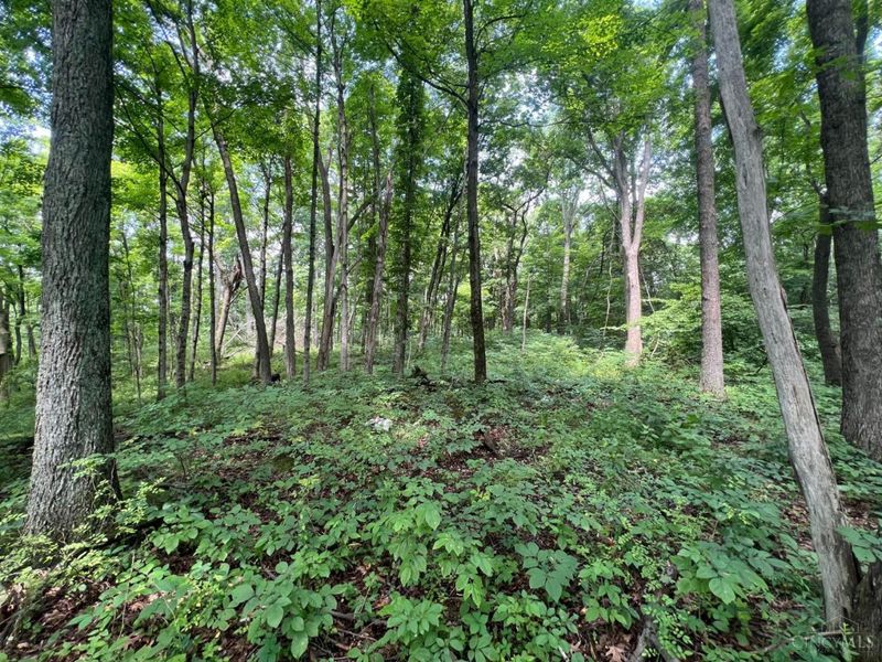 1900 Cruey Lane, Batavia, OH 45103 Photo 6
