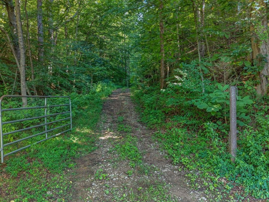 Property Image 54