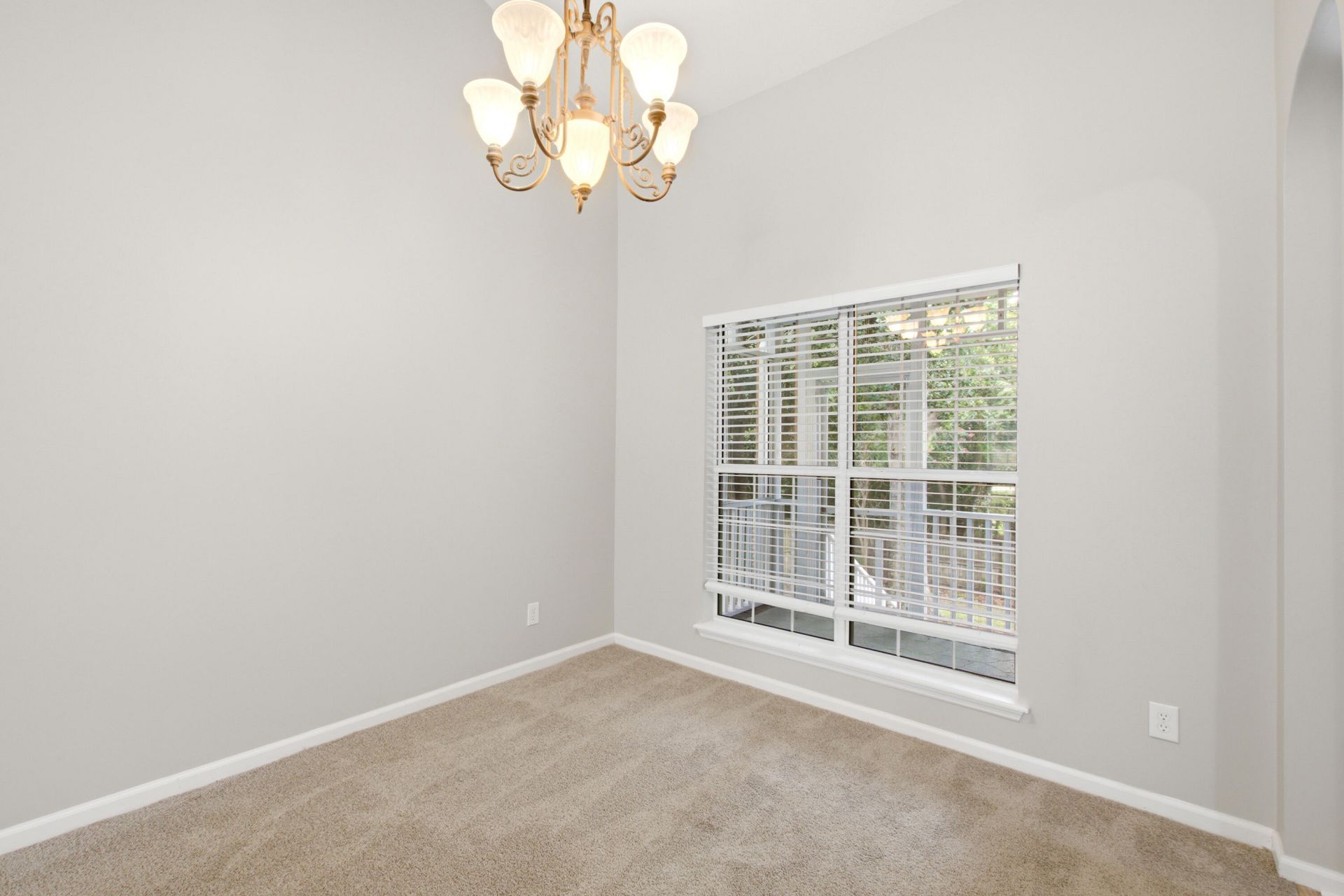 119 Round Table Lane Photo 9