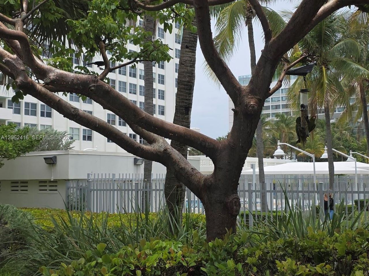 2899 Collins Ave, Unit 940, Miami Beach, FL 33140 Photo