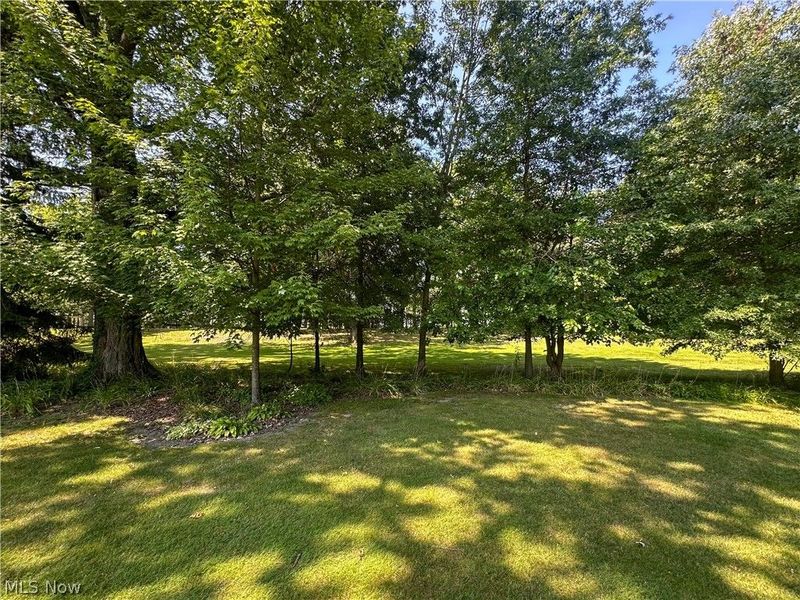 458 Hogarth Avenue, Niles, OH 44446 Photo 40