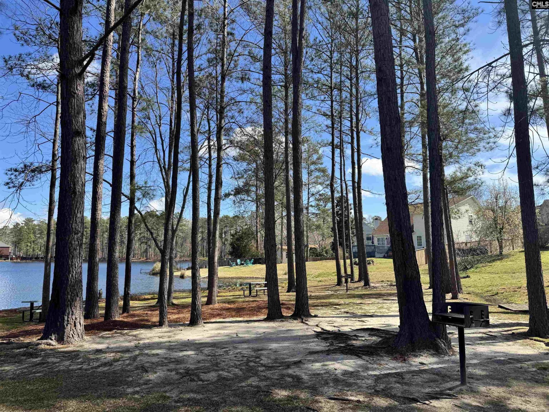 603 Corkscrew Lane  Photo 26