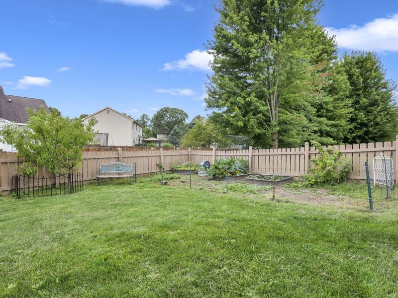 6288 Wingstem Street, Westerville, OH 43082 Photo 34