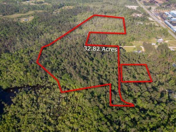 0 Walter Phillips Road, Hazlehurst, GA 31539