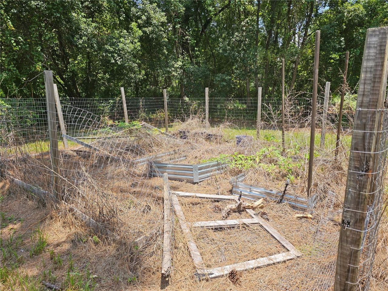 38510 County Road 439, Eustis, FL 32736 Photo