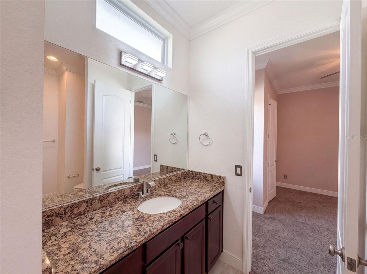 918 Blackthorn Drive, Apopka, FL 32703 Photo
