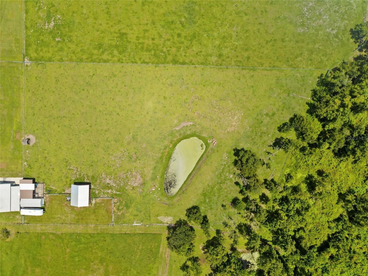 15710 Colding Loop, Wimauma, FL 33598 Photo