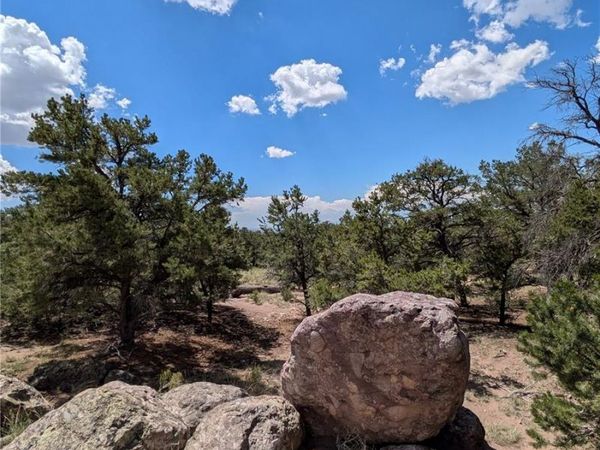 1240 Brookview Way , Crestone, CO 81131
