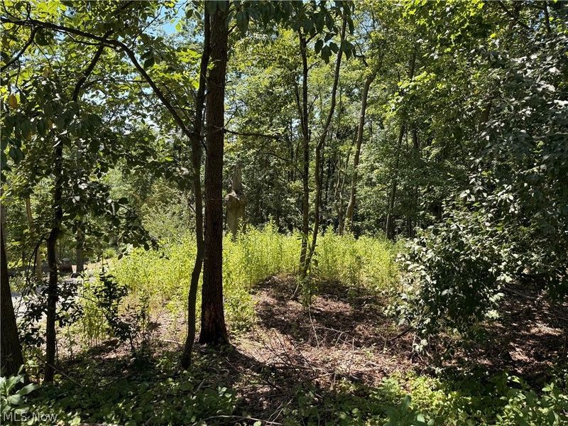 Lot 1623 Comanche Trail, Malvern, OH 44644 Photo 2