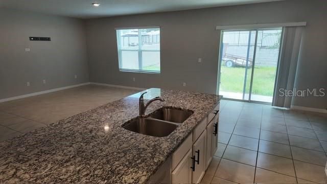 11237 Amber Ridge Drive, Zellwood, FL 32798 Photo