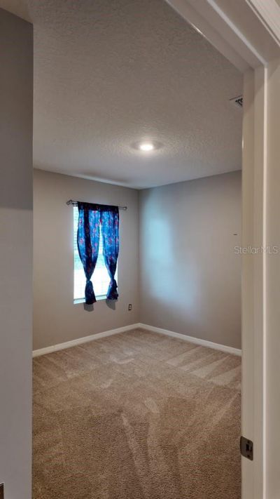11237 Amber Ridge Drive, Zellwood, FL 32798 Photo