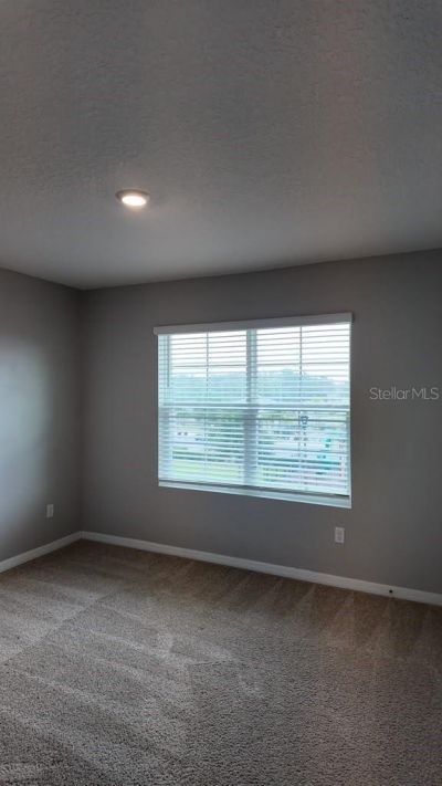 11237 Amber Ridge Drive, Zellwood, FL 32798 Photo