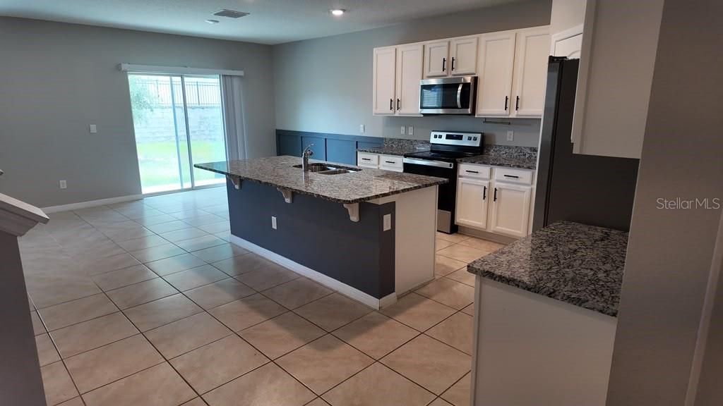 11237 Amber Ridge Drive, Zellwood, FL 32798 Photo