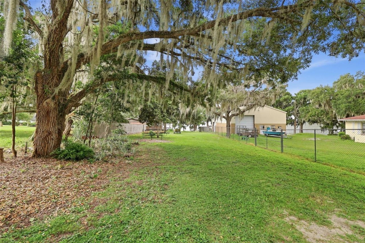 30216 Harris Drive, Leesburg, FL 34748 Photo