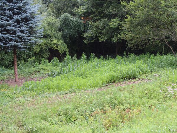 Lot 149 Greensboro Way , Butman Township, Mi 48624