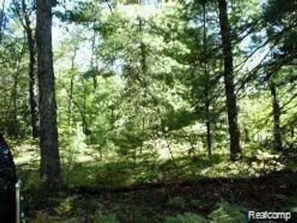 789 E Logan Boulevard , Yates Township, Mi 49642