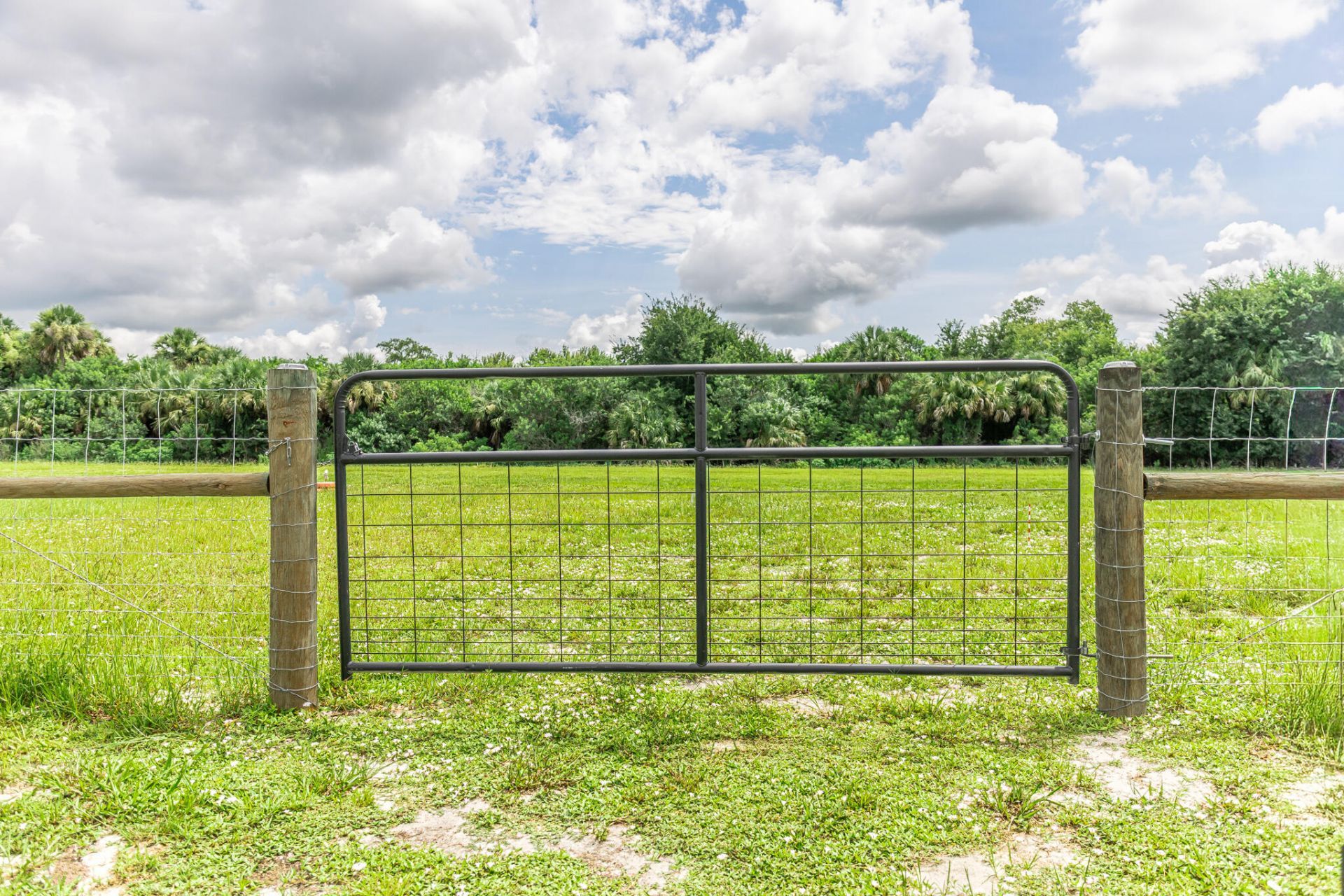 19695 NW 80th Drive, Okeechobee, FL 34972 Photo