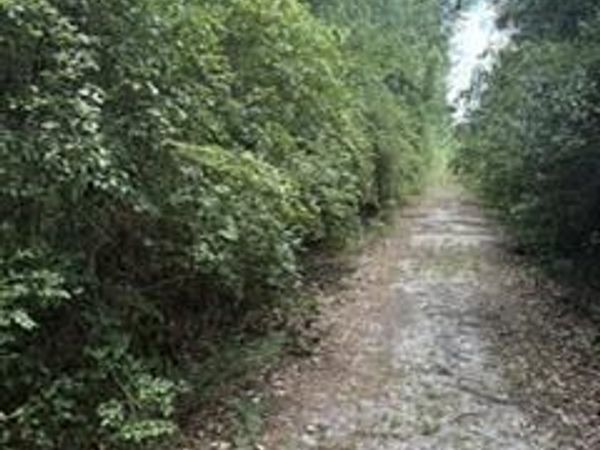 2664 NE 173RD Street NE, Starke, FL 32091