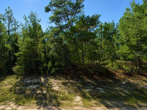 ALLADIN DRIVE, CHIPLEY, FL 32428