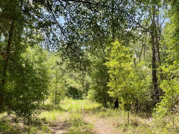 10AC 198TH TER, OBrien, FL 32071