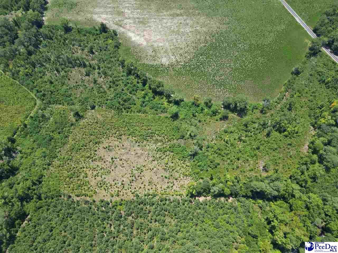 9.14 Acress Off Dalcho Rd Photo 10