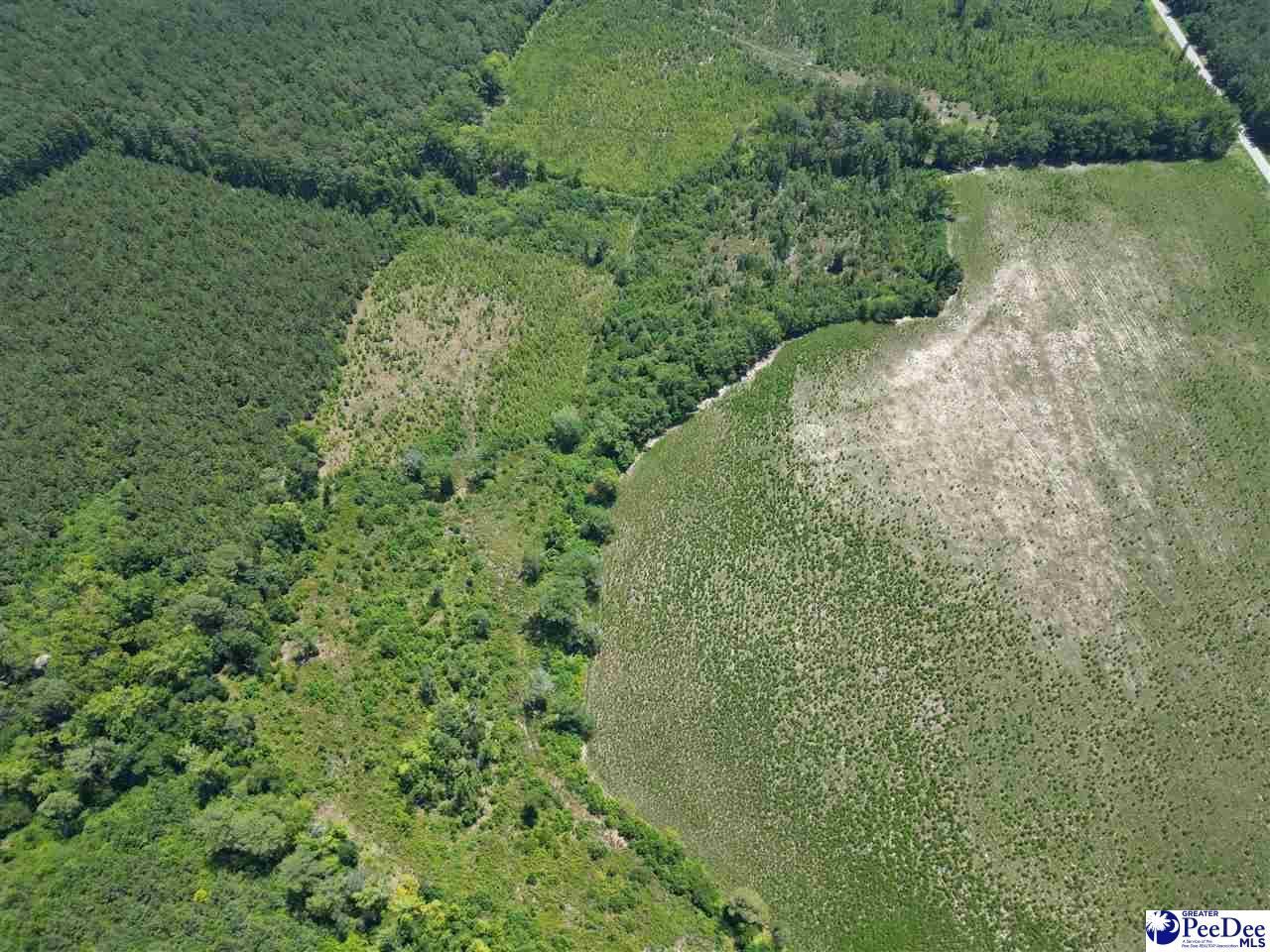 9.14 Acress Off Dalcho Rd Photo 13
