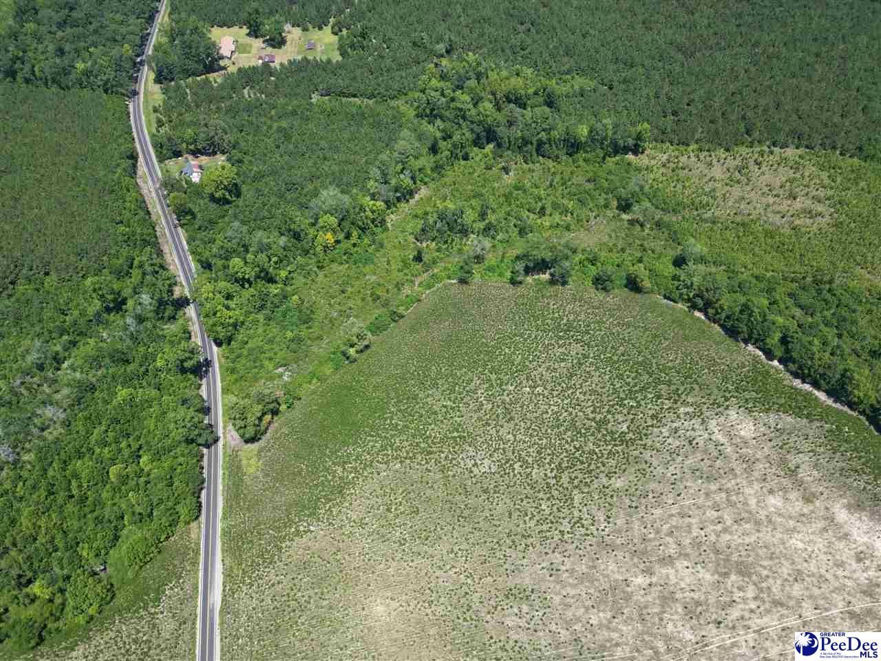 9.14 Acress Off Dalcho Rd Photo 5