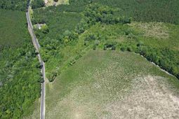 9.14 Acress Off Dalcho Rd photo 4