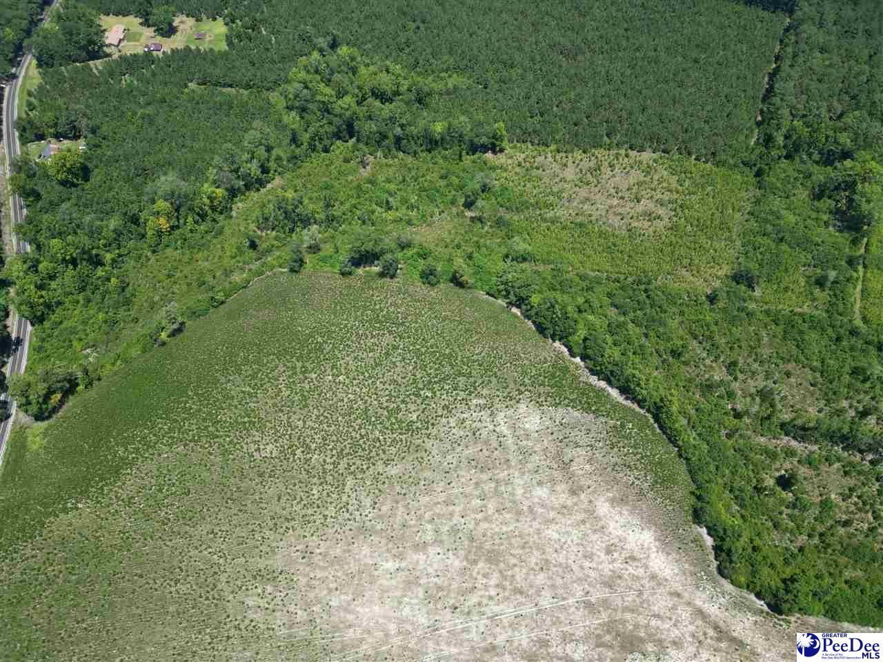 9.14 Acress Off Dalcho Rd Photo 6