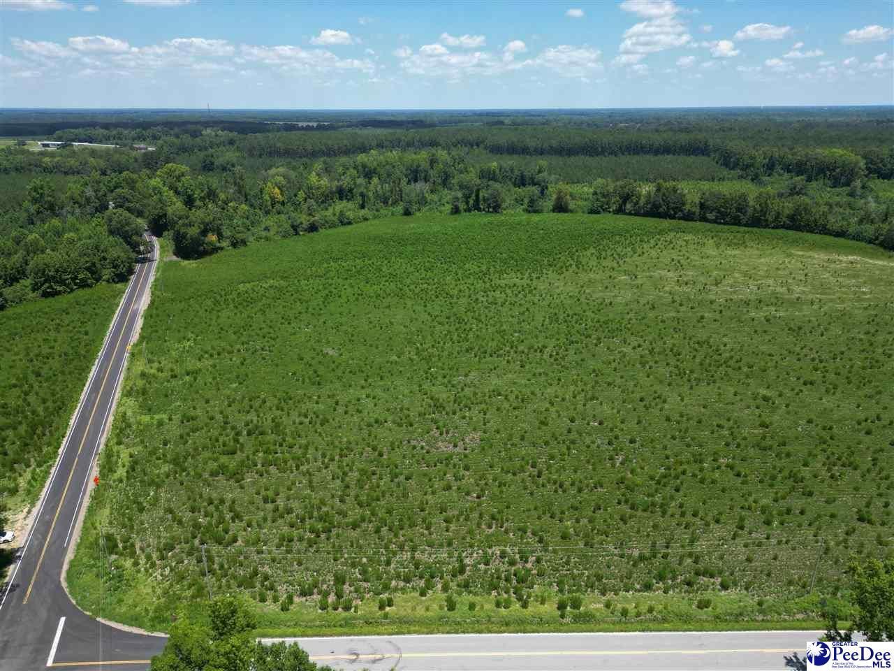 9.14 Acress Off Dalcho Rd Photo 7