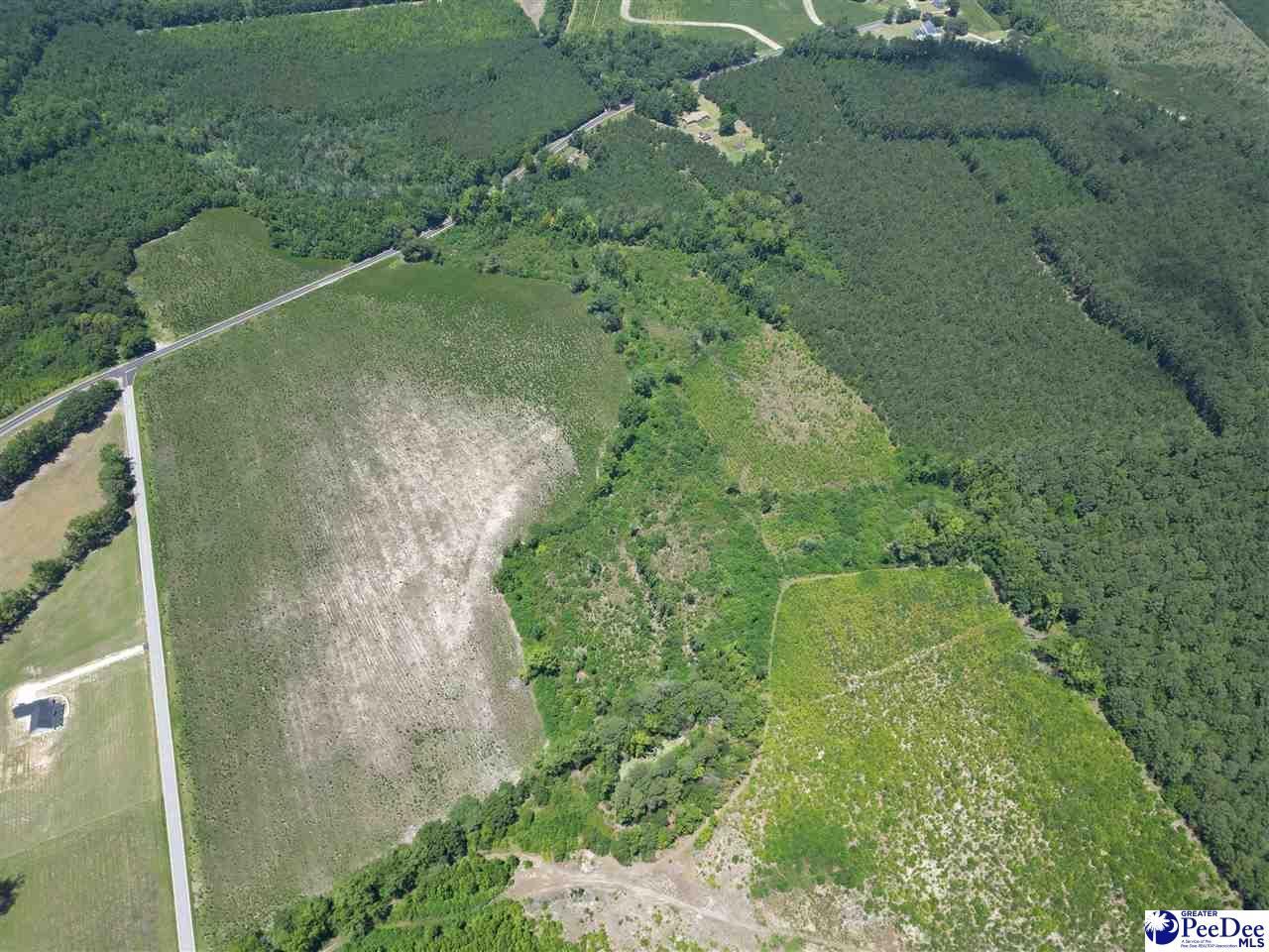 9.14 Acress Off Dalcho Rd Photo 9