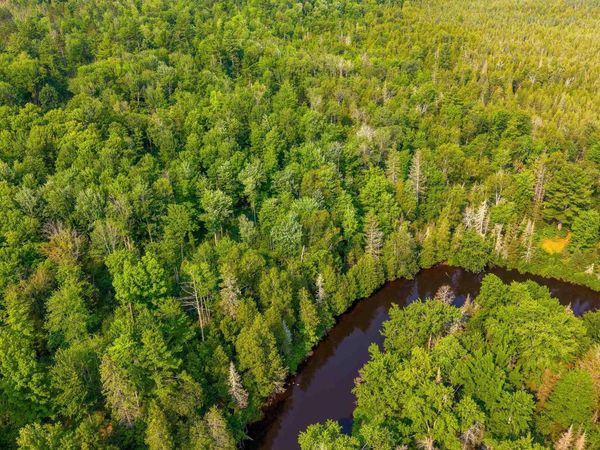 15 Acres off Bob's Creek Truck Trail Trail, Forsyth Twp, MI 49841