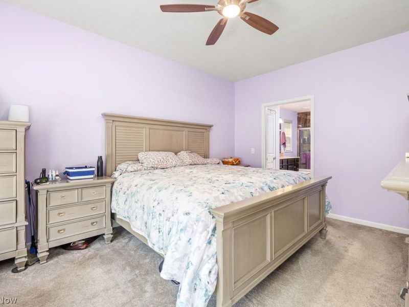 6757 Maplebrooke Trace, Medina, OH 44256 Photo 12