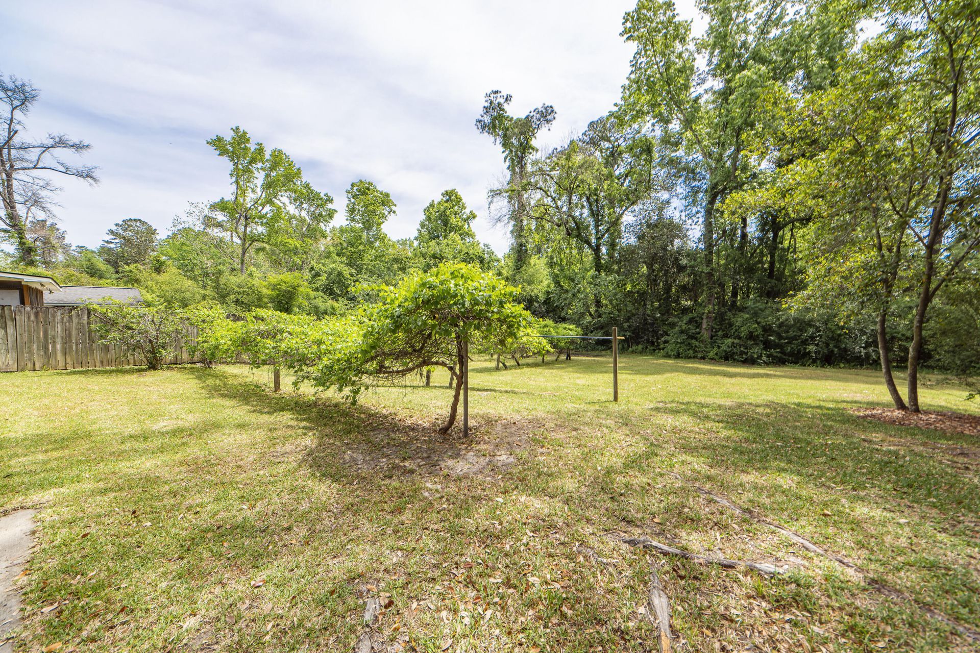 703 N Magnolia Street Photo 36