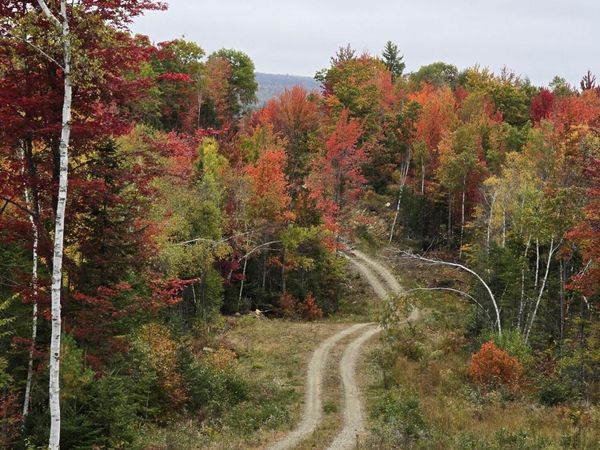 Lot #4 Woods Road , Phillips, ME 04966