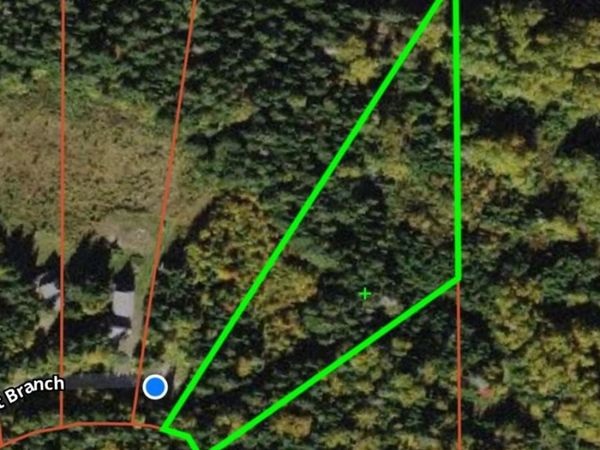 Lot 59 Left Branch , Rangeley Plt, ME 04970