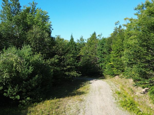 M13L7 Bear Mountain Road , Fairfield, ME 04937