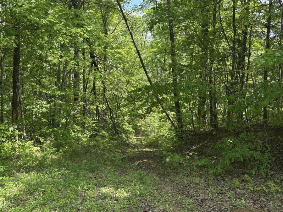 Property Image 63