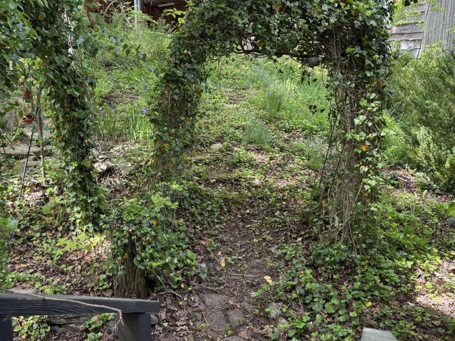 Property Image 73