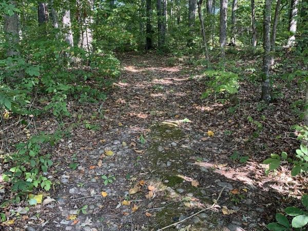 0 Glendale Road , Bybee, TN 37713
