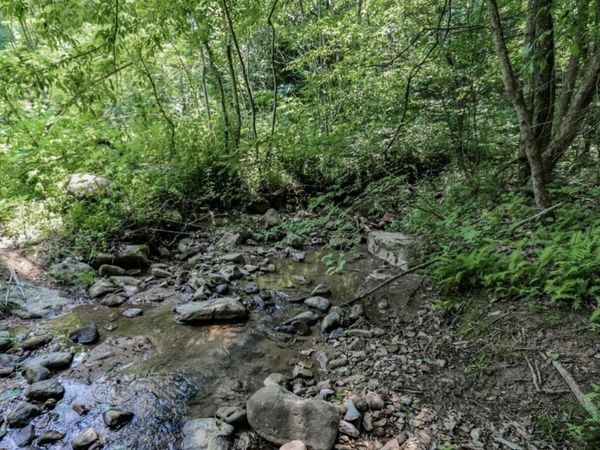 1120 Yellow Springs Road , Unit N/A, Cosby, TN 37722