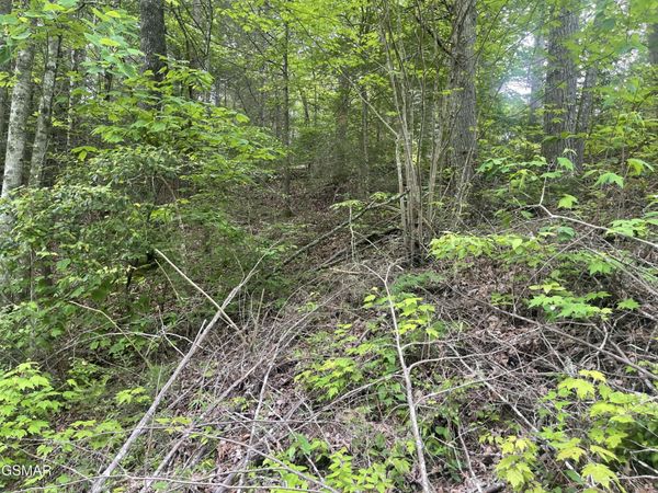 1115 Tranquility Hills Way , Unit 11, Cosby, TN 37722