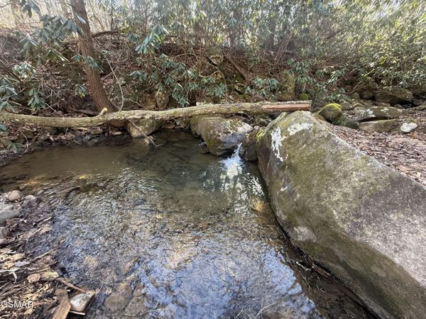 805 Bogard Creek Road, Cosby, TN 37722