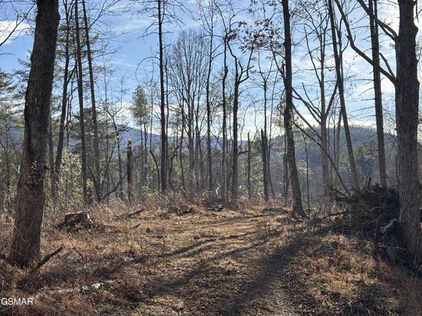 1 Bull Mountain Road , Unit -, Del Rio, TN 37727