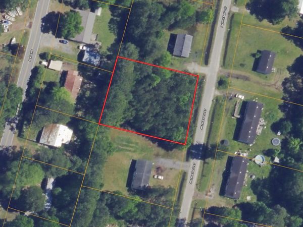 0 Jim Truesdell Road, Darien, GA 31305