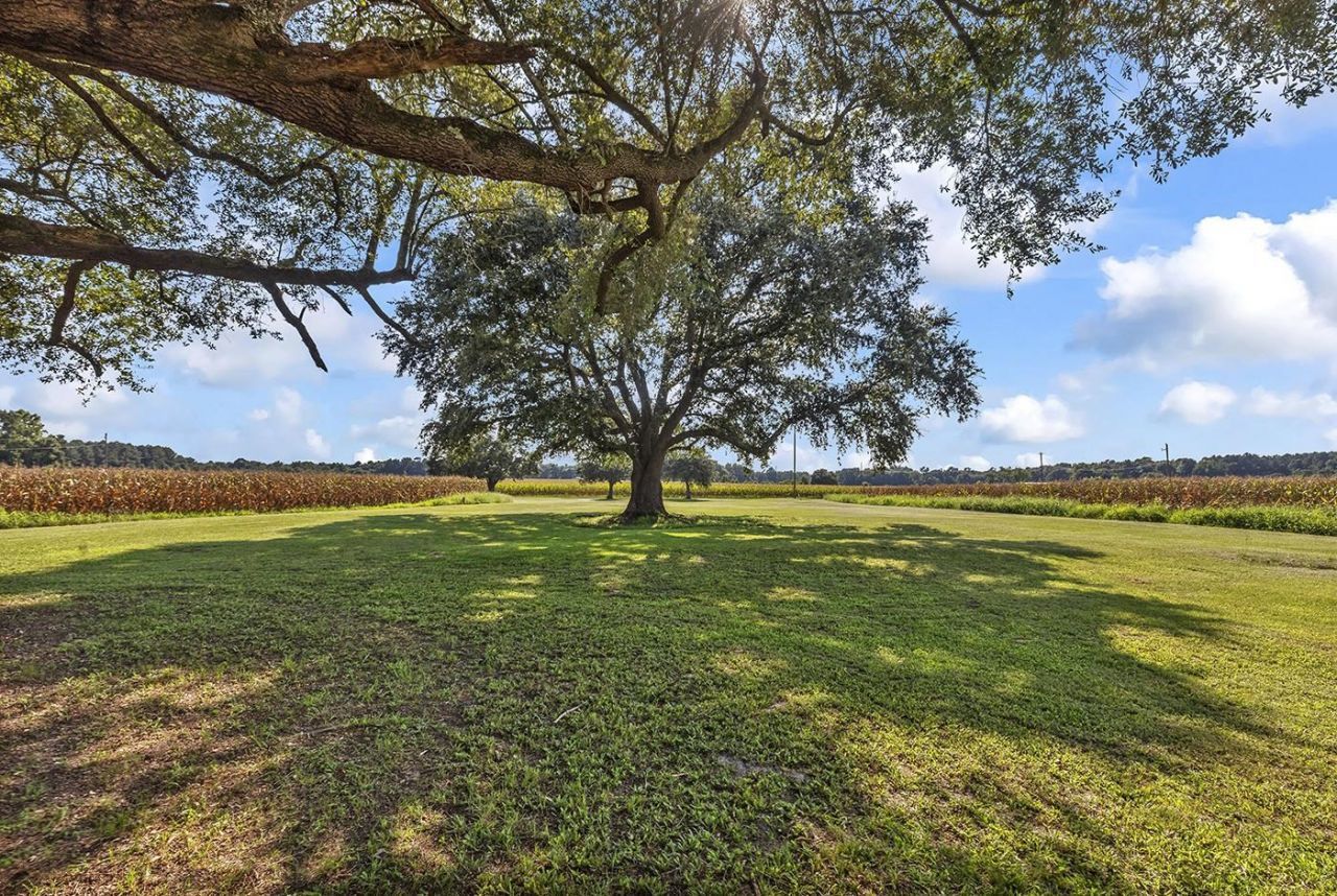 3568 Alcolu St. Photo 12