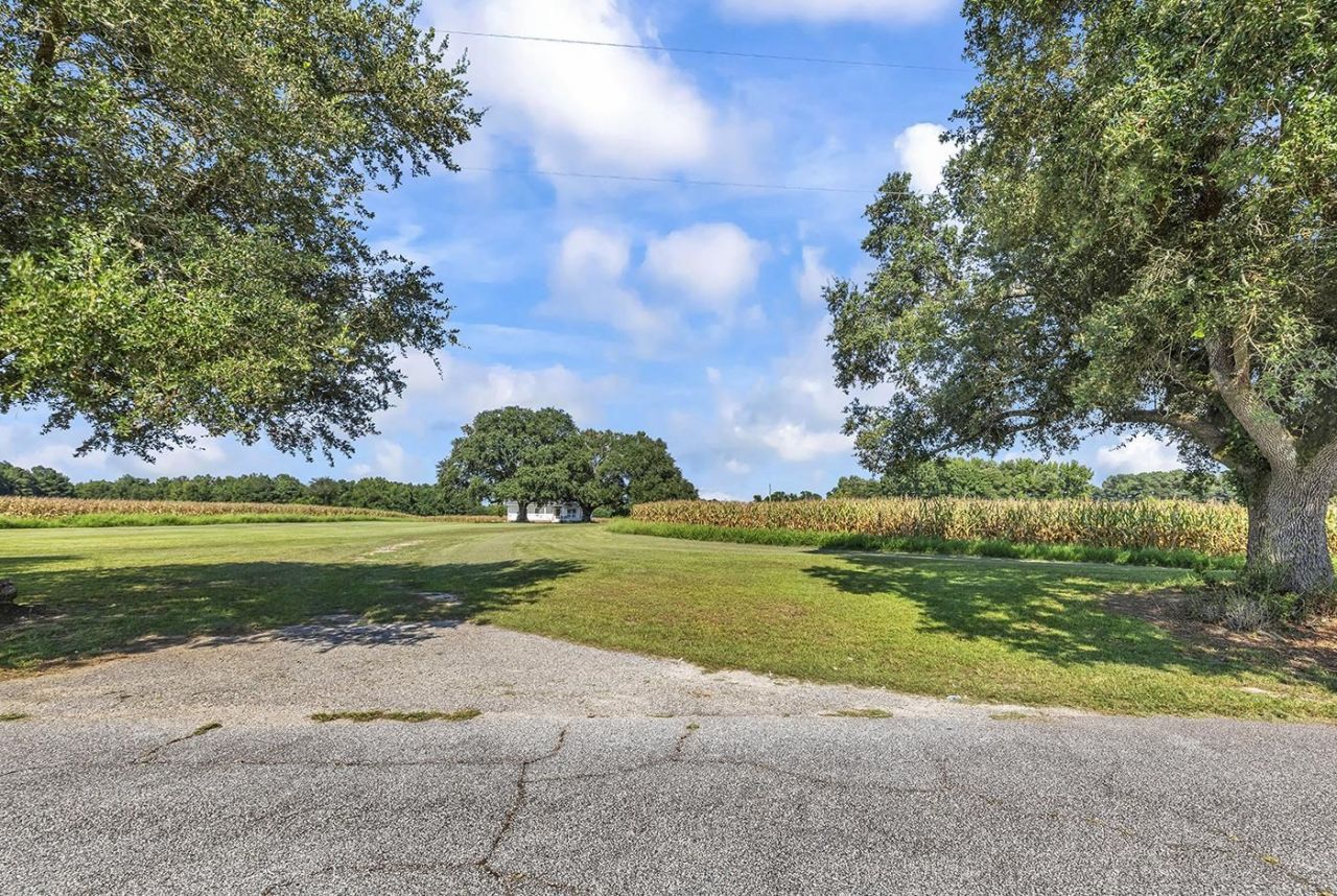 3568 Alcolu St. Photo 15